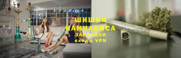 ПСИЛОЦИБИНОВЫЕ ГРИБЫ Баксан