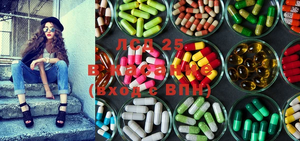 ПСИЛОЦИБИНОВЫЕ ГРИБЫ Баксан
