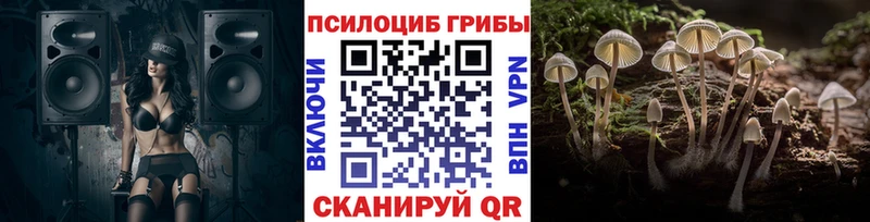 ОМГ ОМГ как войти  Темников  Псилоцибиновые грибы MAGIC MUSHROOMS 